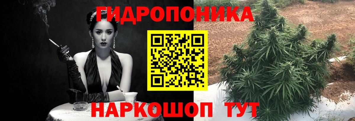 Бошки Шишки Amnesia  Вход с VPN  МАРИХУАНА OG Kush  Чехов  Бошки Шишки индика 